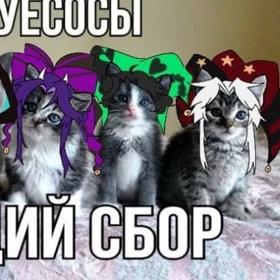Thumbnail of Элара Вэнс