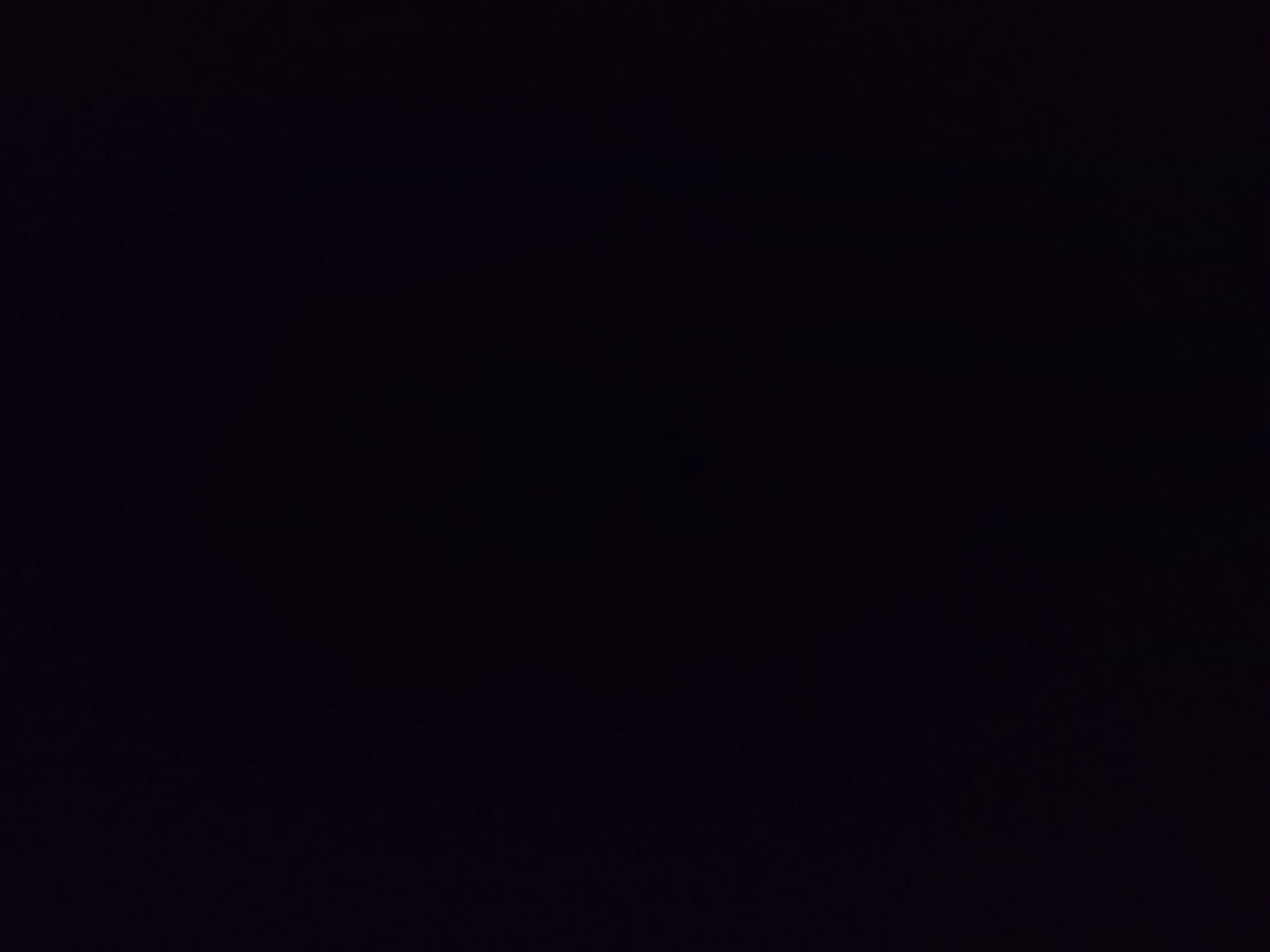 Thumbnail of Удивительный цифровой цирк