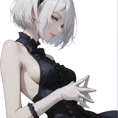 Thumbnail of Автоматическая почка