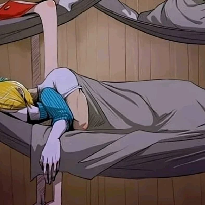 Thumbnail of Зоро x Санджи