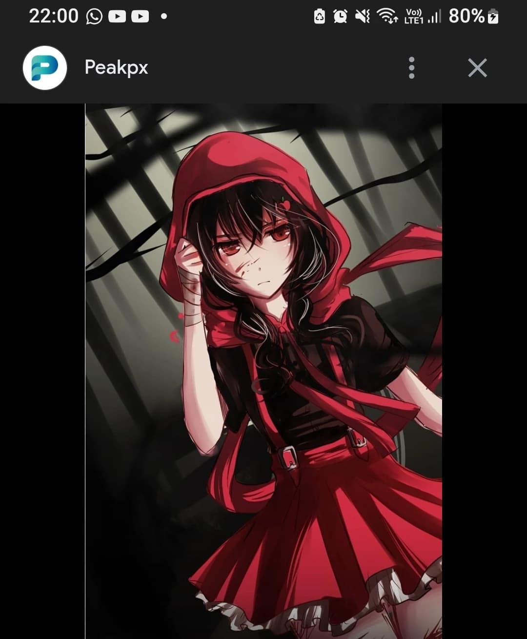 Thumbnail of Axella
