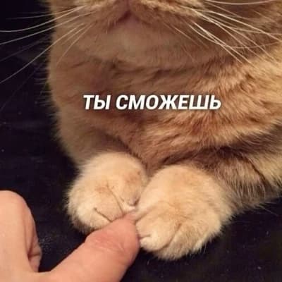 Thumbnail of Поддержка Бот :3