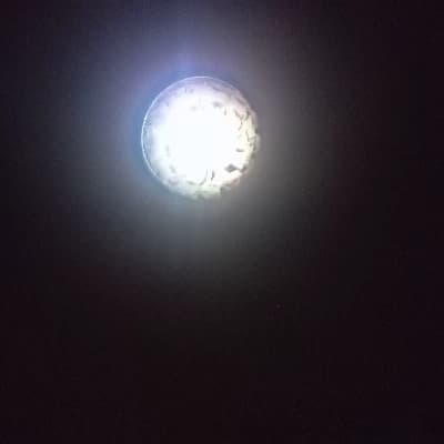 Thumbnail of Light-7