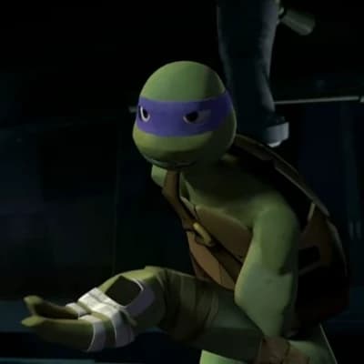 Thumbnail of Donatello Hamato