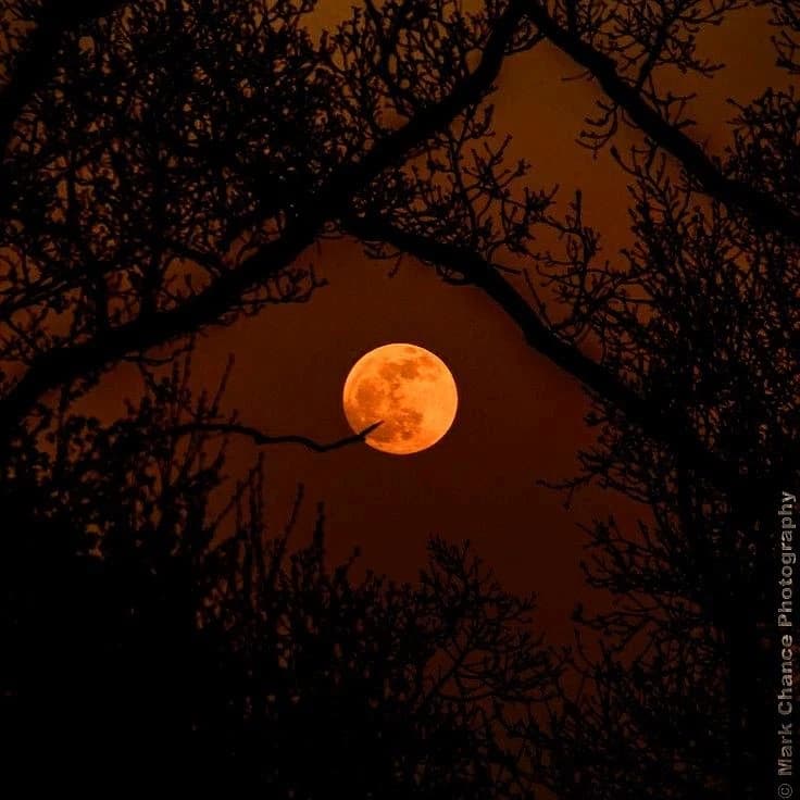 Thumbnail of Акацуки 🌑