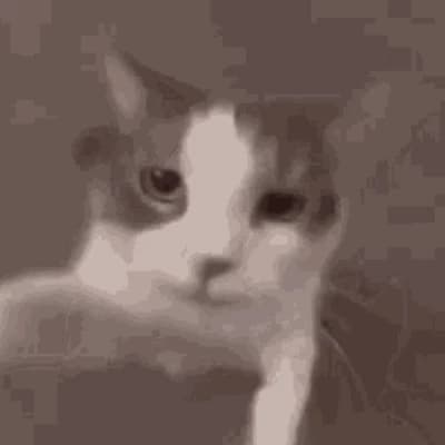 Thumbnail of Кот