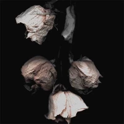 Thumbnail of Джулиан