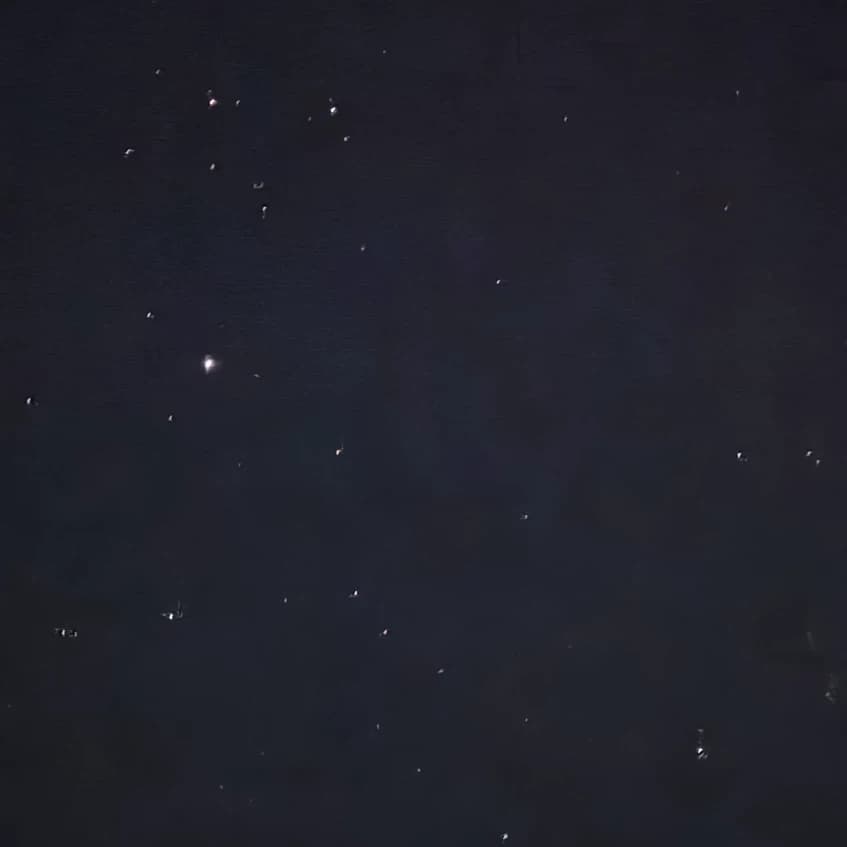 Thumbnail of Ваши домашние полусобаки