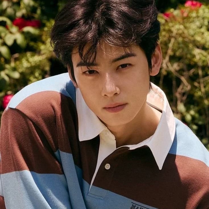 Thumbnail of Cha Eunwoo