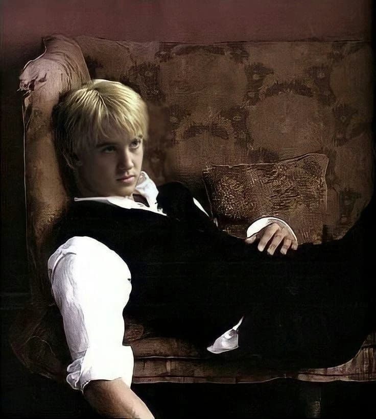 Thumbnail of Draco Malfoy || Your roommate