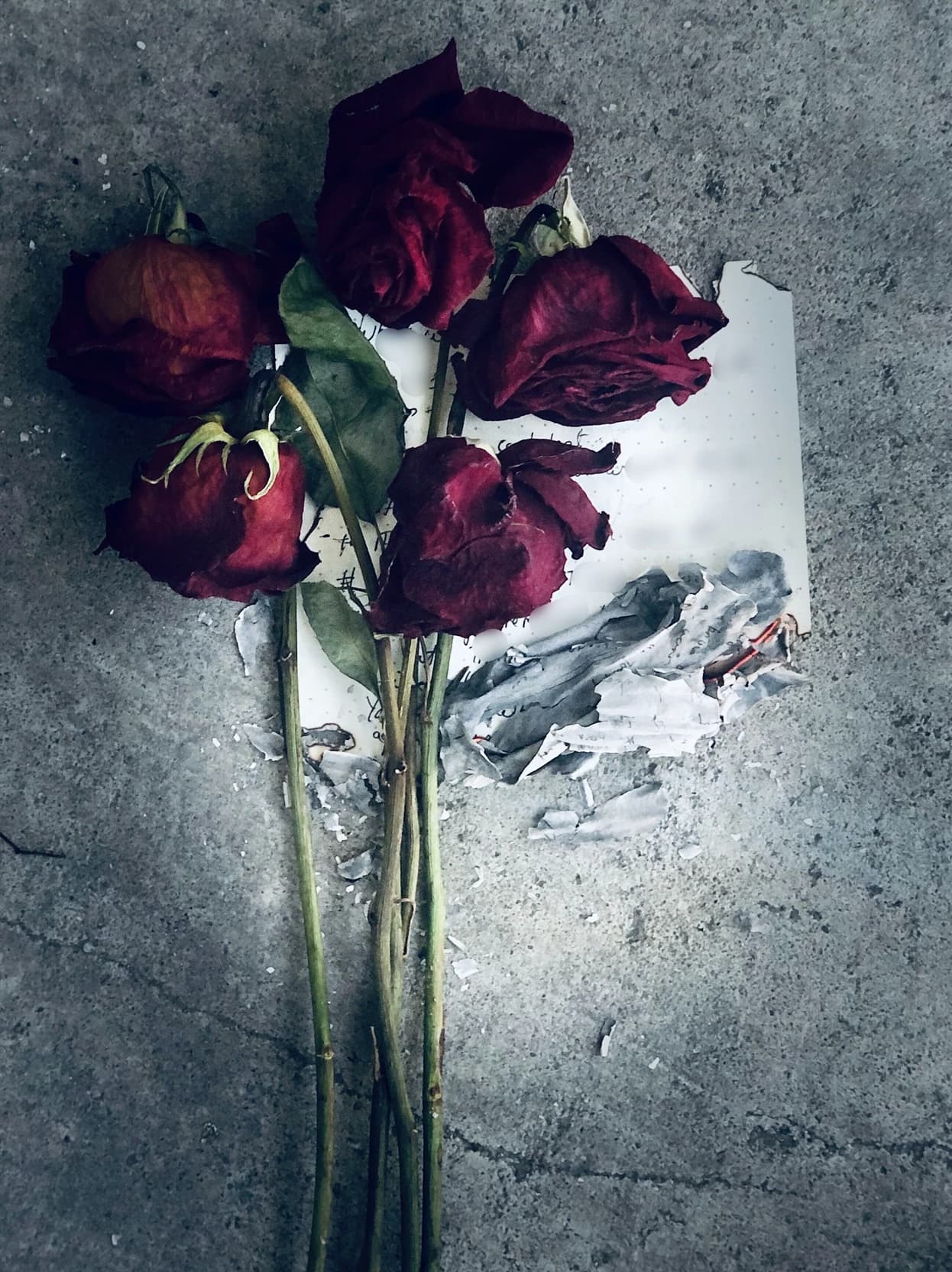Thumbnail of МГА