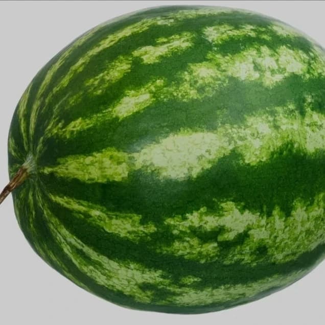 Thumbnail of melon