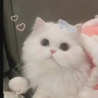 Thumbnail of Кэлен