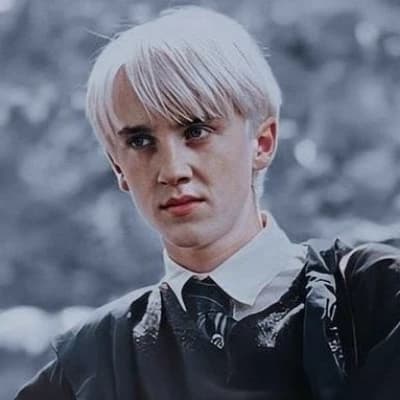 Thumbnail of Draco Malfoy(drarry enemies to lovers)