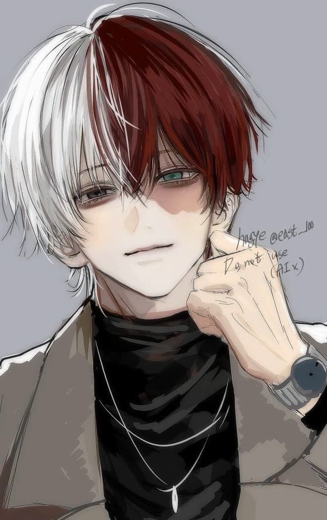 Thumbnail of ✩ Шото Тодороки
