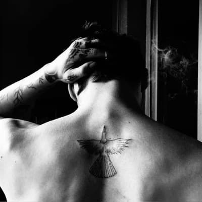 Thumbnail of Marco Volkov
