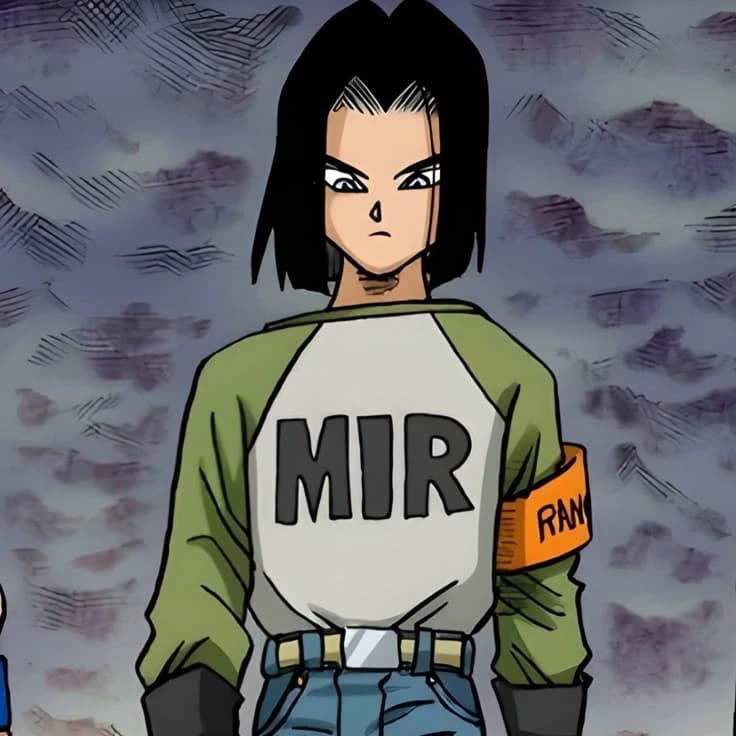 Thumbnail of Android 17