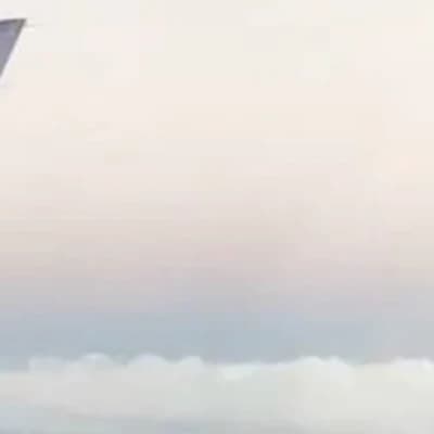 Thumbnail of Leo// BL