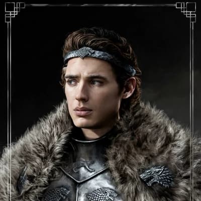Thumbnail of Робб Старк