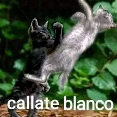 Thumbnail of Fight against the black cat