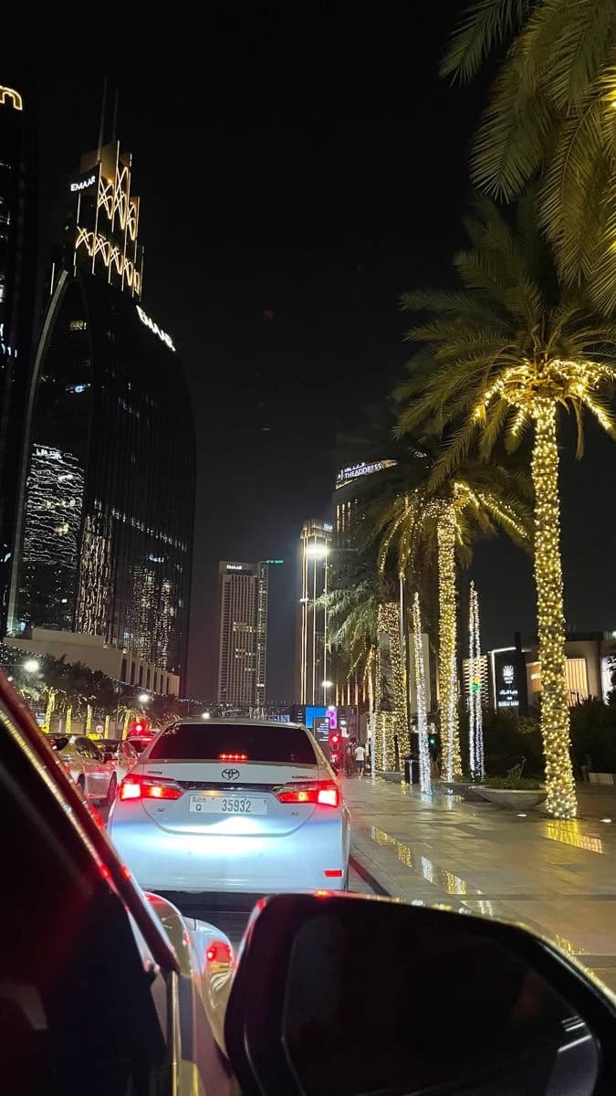Thumbnail of The Sheikh of Dubai