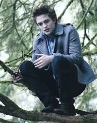 Thumbnail of Edward Cullen MLM/BL