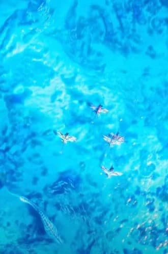 Thumbnail of Аватар
