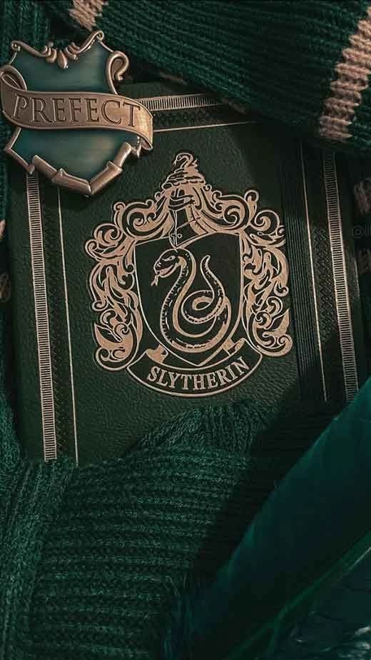 Thumbnail of Slytherin - pick me girl 