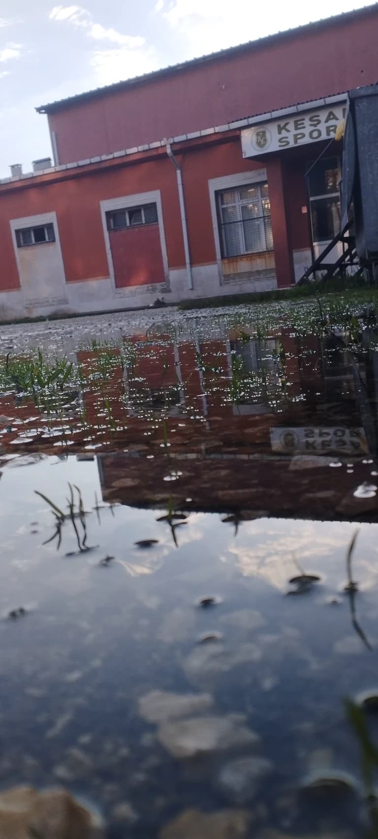 Thumbnail of Летнее приключение