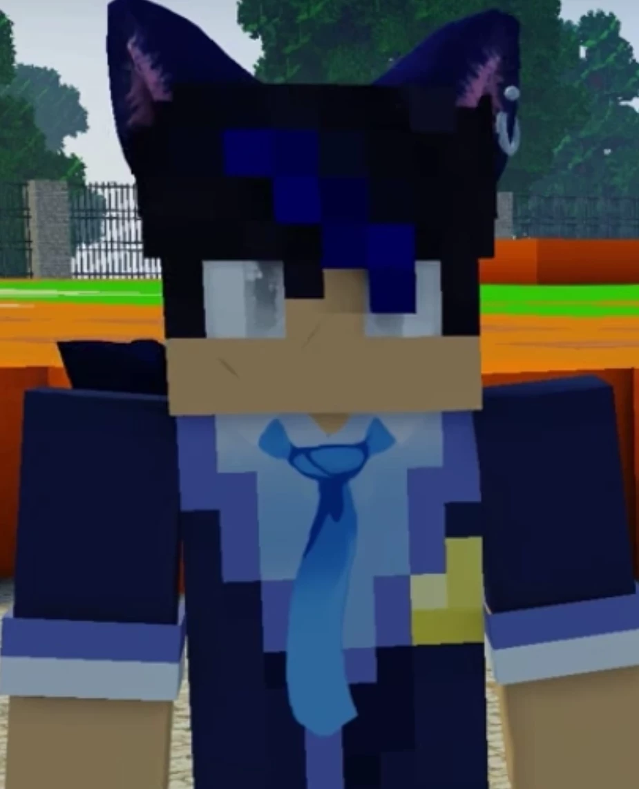 Thumbnail of a