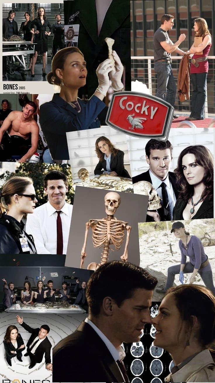 Thumbnail of Кости