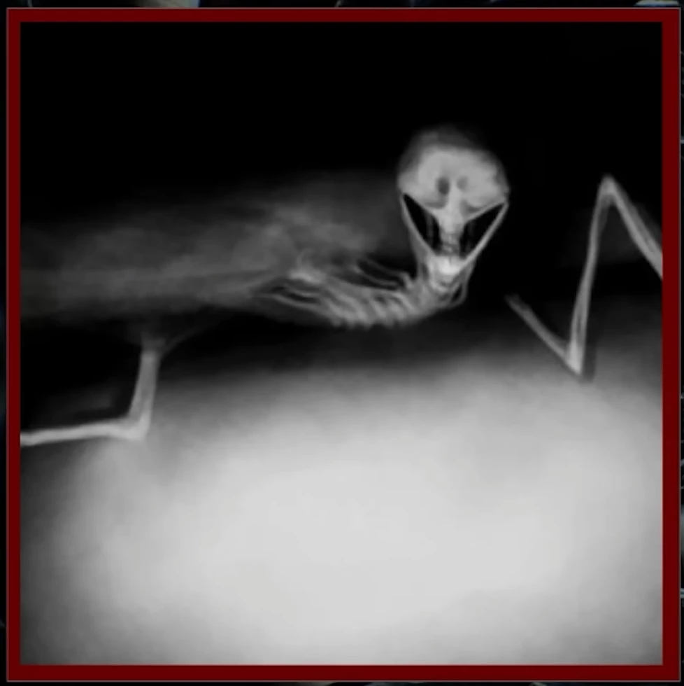 Thumbnail of плоть