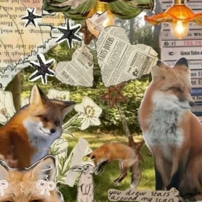Thumbnail of C!Фанди