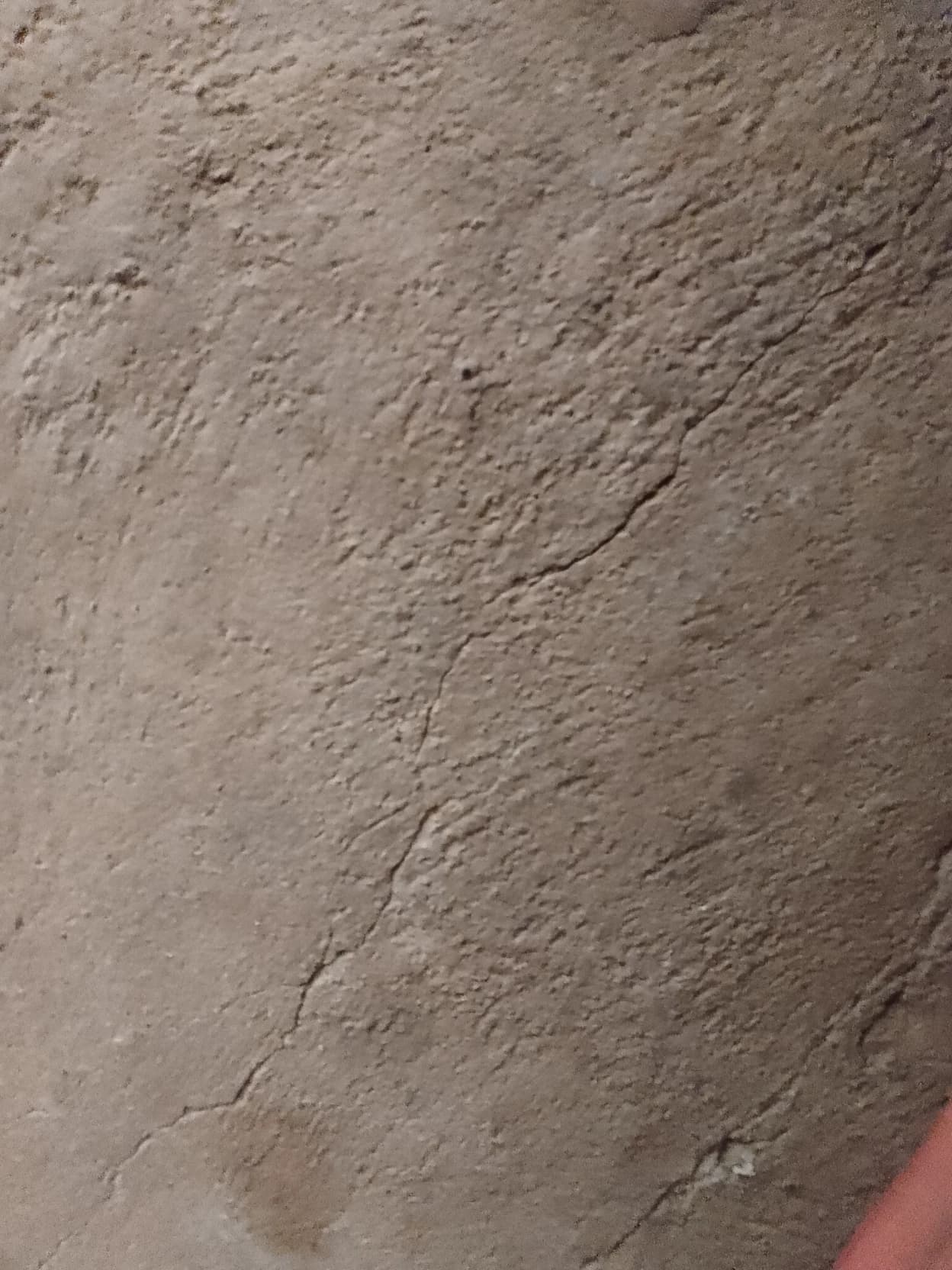 Thumbnail of Tf141 — посещение пансиона
