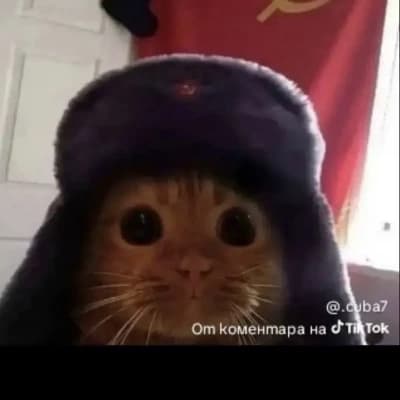 Thumbnail of Россия