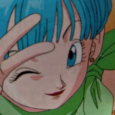 Thumbnail of Bulma Briefs (Wife)