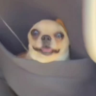 Thumbnail of Мэтью