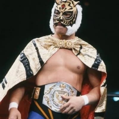 Thumbnail of Тигровая маска🐯🥊
