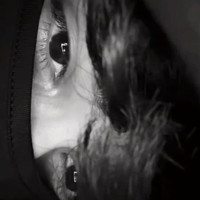 Thumbnail of Эстебам