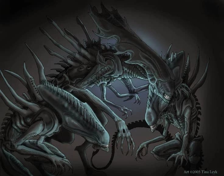 Thumbnail of 3 Ксеноморф