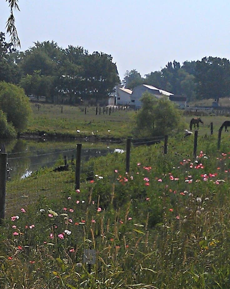 Thumbnail of The country side in 1960s