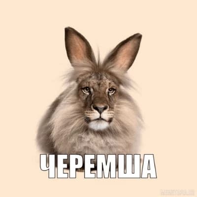 Thumbnail of Безмолвный Страж