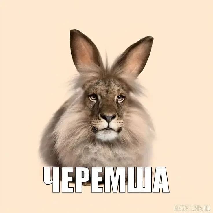 Thumbnail of Черемша СССР