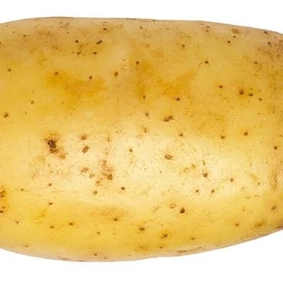 Thumbnail of The Potatoid