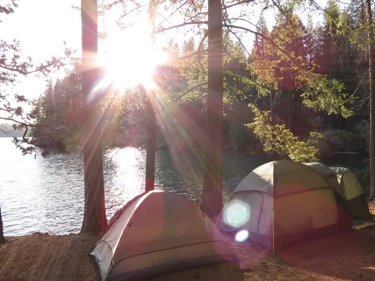 Thumbnail of Первопроходцы ⛺🌲