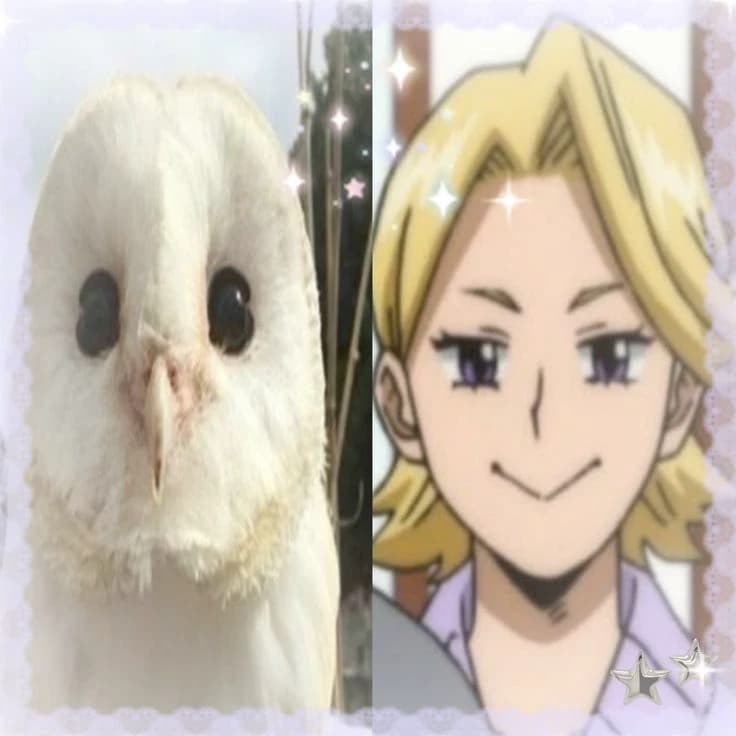 Thumbnail of Yuga Aoyama