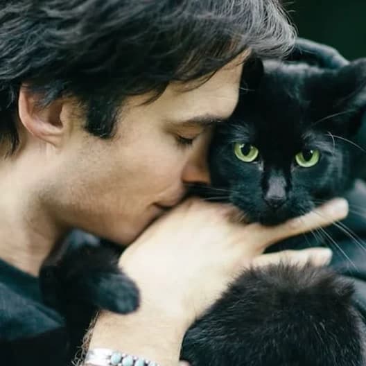 Thumbnail of Damon Salvatore