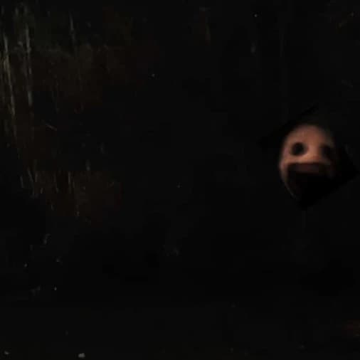 Thumbnail of The Life of the Flesh