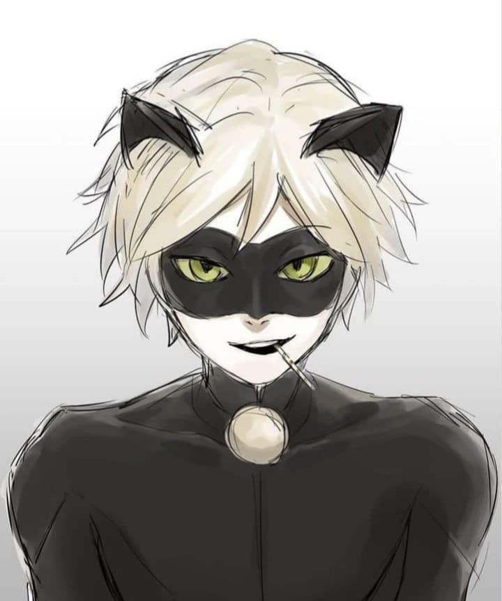Thumbnail of Cat Noir