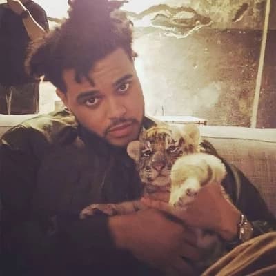 Thumbnail of ♡ The Weeknd - Абель ♡
